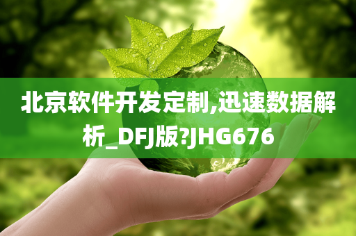 北京软件开发定制,迅速数据解析_DFJ版?JHG676