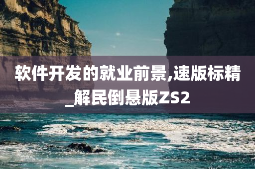 软件开发的就业前景,速版标精_解民倒悬版ZS2