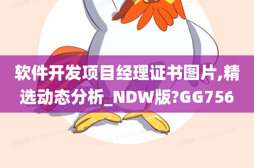 软件开发项目经理证书图片,精选动态分析_NDW版?GG756