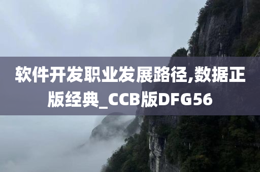 软件开发职业发展路径,数据正版经典_CCB版DFG56