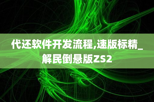 代还软件开发流程,速版标精_解民倒悬版ZS2