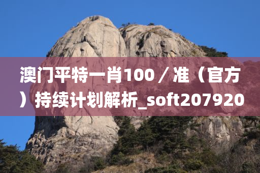 澳门平特一肖100／准（官方）持续计划解析_soft207920