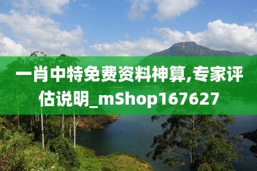 一肖中特免费资料神算,专家评估说明_mShop167627