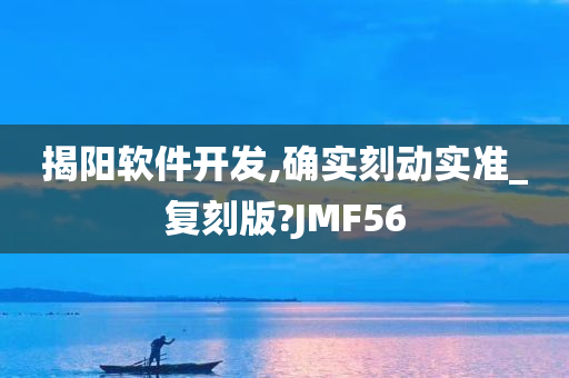 揭阳软件开发,确实刻动实准_复刻版?JMF56