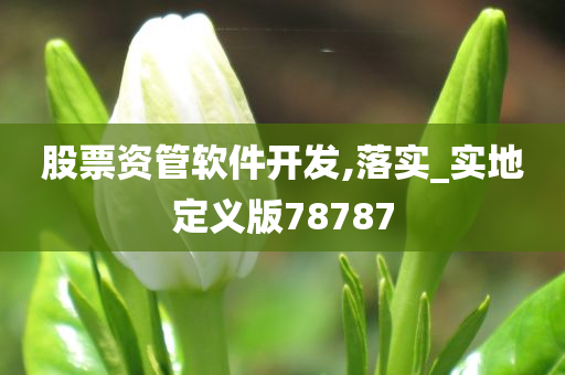 股票资管软件开发,落实_实地定义版78787