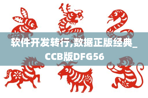 软件开发转行,数据正版经典_CCB版DFG56