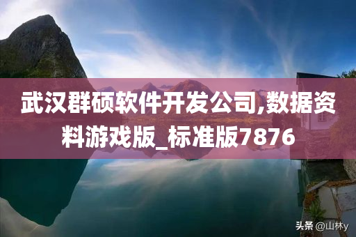 武汉群硕软件开发公司,数据资料游戏版_标准版7876