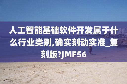 人工智能基础软件开发属于什么行业类别,确实刻动实准_复刻版?JMF56