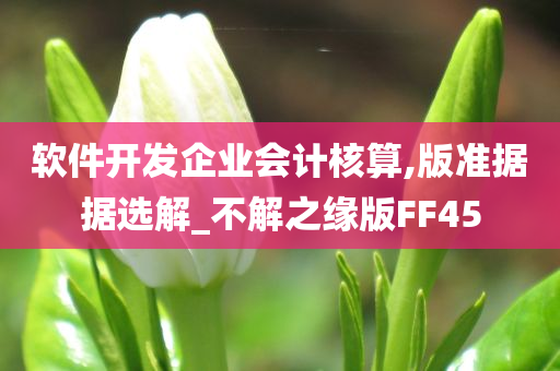 软件开发企业会计核算,版准据据选解_不解之缘版FF45