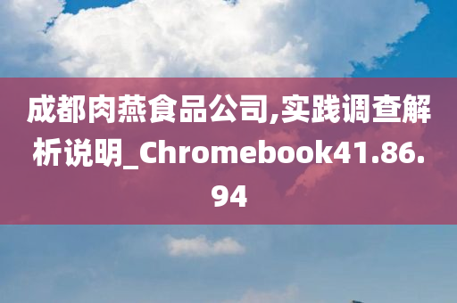 成都肉燕食品公司,实践调查解析说明_Chromebook41.86.94