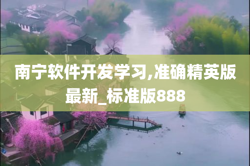 南宁软件开发学习,准确精英版最新_标准版888