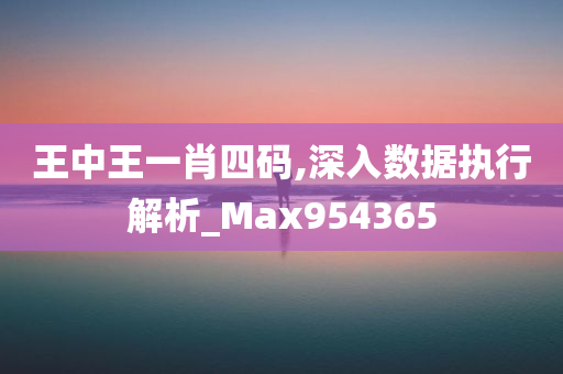 王中王一肖四码,深入数据执行解析_Max954365