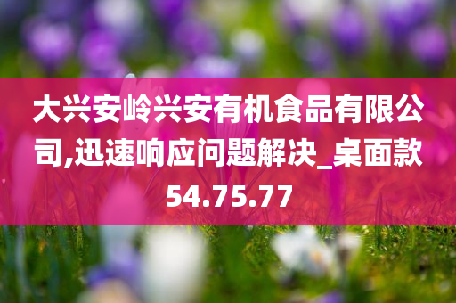 大兴安岭兴安有机食品有限公司,迅速响应问题解决_桌面款54.75.77