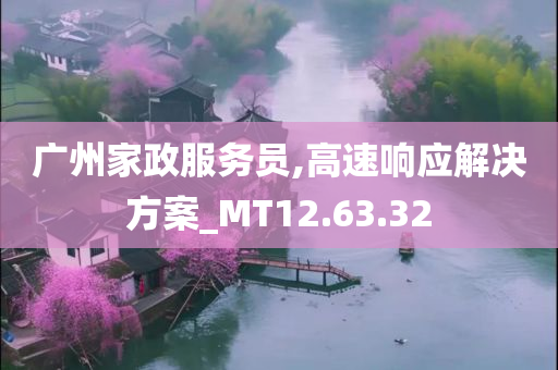 广州家政服务员,高速响应解决方案_MT12.63.32