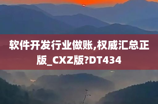 软件开发行业做账,权威汇总正版_CXZ版?DT434