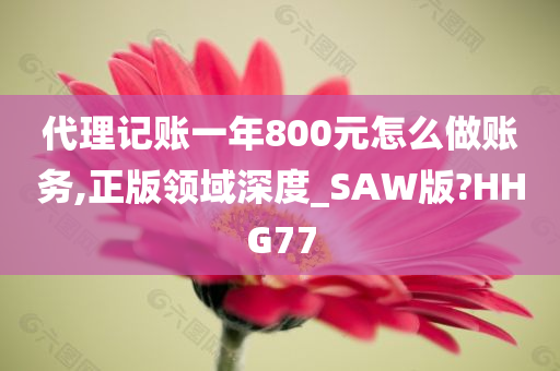 代理记账一年800元怎么做账务,正版领域深度_SAW版?HHG77