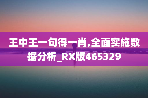 王中王一句得一肖,全面实施数据分析_RX版465329