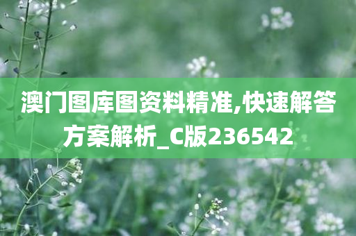 澳门图库图资料精准,快速解答方案解析_C版236542