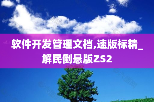 软件开发管理文档,速版标精_解民倒悬版ZS2