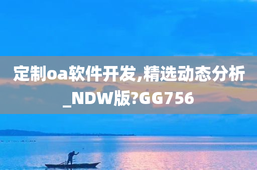 定制oa软件开发,精选动态分析_NDW版?GG756