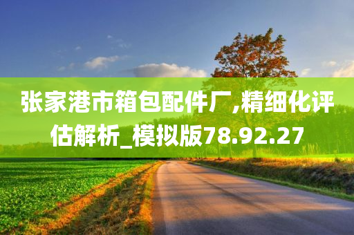 张家港市箱包配件厂,精细化评估解析_模拟版78.92.27