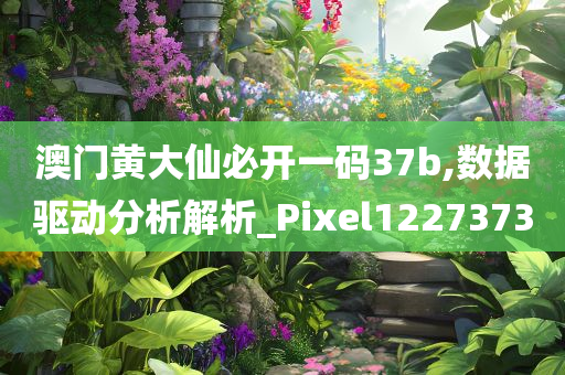 澳门黄大仙必开一码37b,数据驱动分析解析_Pixel1227373