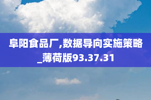 阜阳食品厂,数据导向实施策略_薄荷版93.37.31