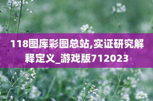 118图库彩图总站,实证研究解释定义_游戏版712023