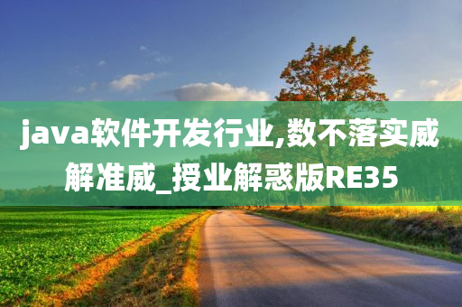 java软件开发行业,数不落实威解准威_授业解惑版RE35