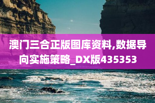 澳门三合正版图库资料,数据导向实施策略_DX版435353