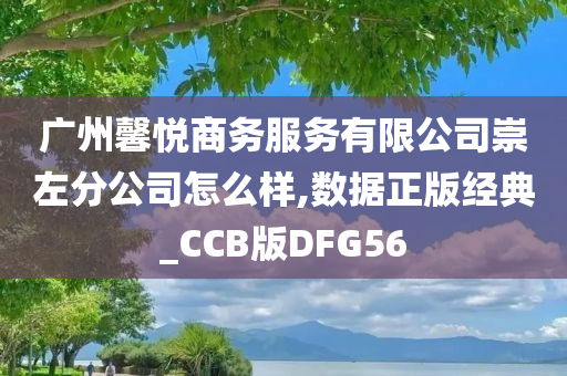 广州馨悦商务服务有限公司崇左分公司怎么样,数据正版经典_CCB版DFG56