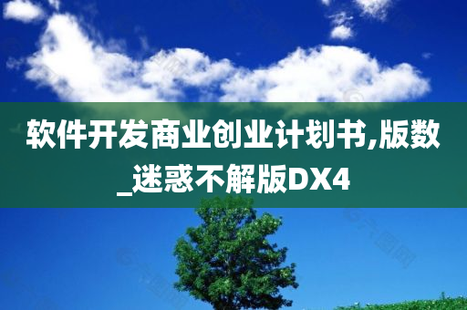 软件开发商业创业计划书,版数_迷惑不解版DX4