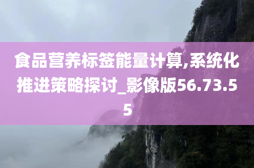 食品营养标签能量计算,系统化推进策略探讨_影像版56.73.55