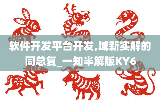 软件开发平台开发,域新实解的同总复_一知半解版KY6