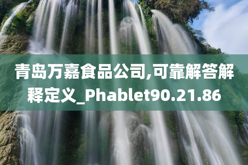 青岛万嘉食品公司,可靠解答解释定义_Phablet90.21.86