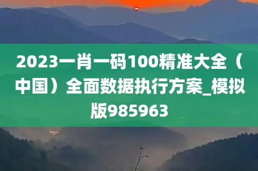 2023一肖一码100精准大全（中国）全面数据执行方案_模拟版985963