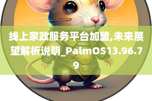 线上家政服务平台加盟,未来展望解析说明_PalmOS13.96.79