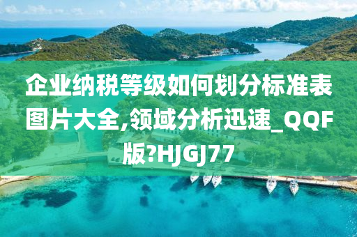 企业纳税等级如何划分标准表图片大全,领域分析迅速_QQF版?HJGJ77