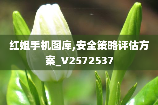 红姐手机图库,安全策略评估方案_V2572537