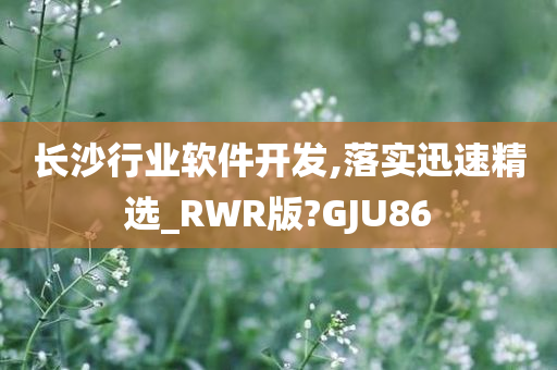 长沙行业软件开发,落实迅速精选_RWR版?GJU86