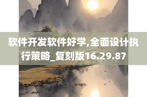 软件开发软件好学,全面设计执行策略_复刻版16.29.87