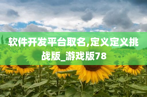 软件开发平台取名,定义定义挑战版_游戏版78