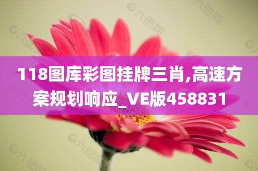 118图库彩图挂牌三肖,高速方案规划响应_VE版458831