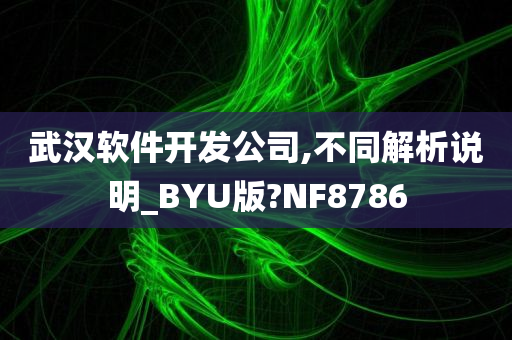 武汉软件开发公司,不同解析说明_BYU版?NF8786