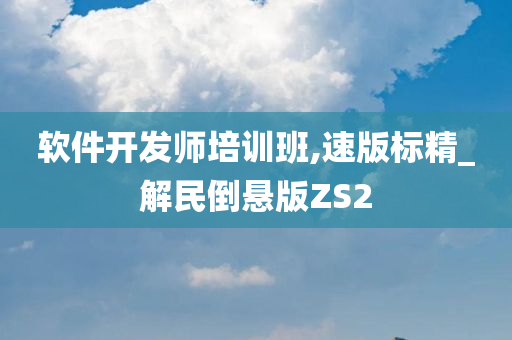 软件开发师培训班,速版标精_解民倒悬版ZS2