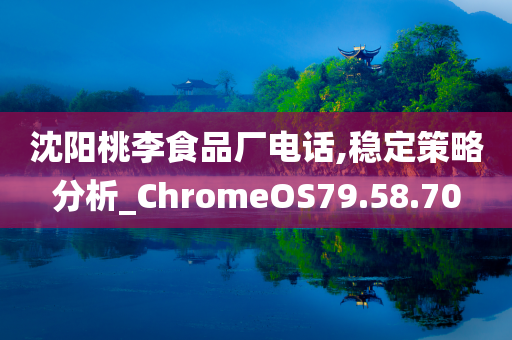 沈阳桃李食品厂电话,稳定策略分析_ChromeOS79.58.70