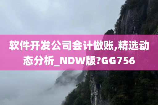 软件开发公司会计做账,精选动态分析_NDW版?GG756