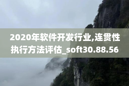 2020年软件开发行业,连贯性执行方法评估_soft30.88.56