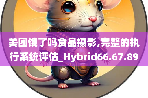 美团饿了吗食品摄影,完整的执行系统评估_Hybrid66.67.89