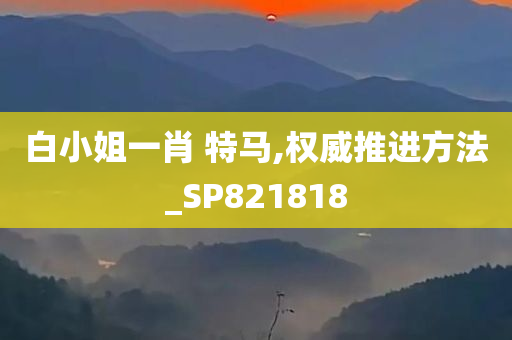 白小姐一肖 特马,权威推进方法_SP821818